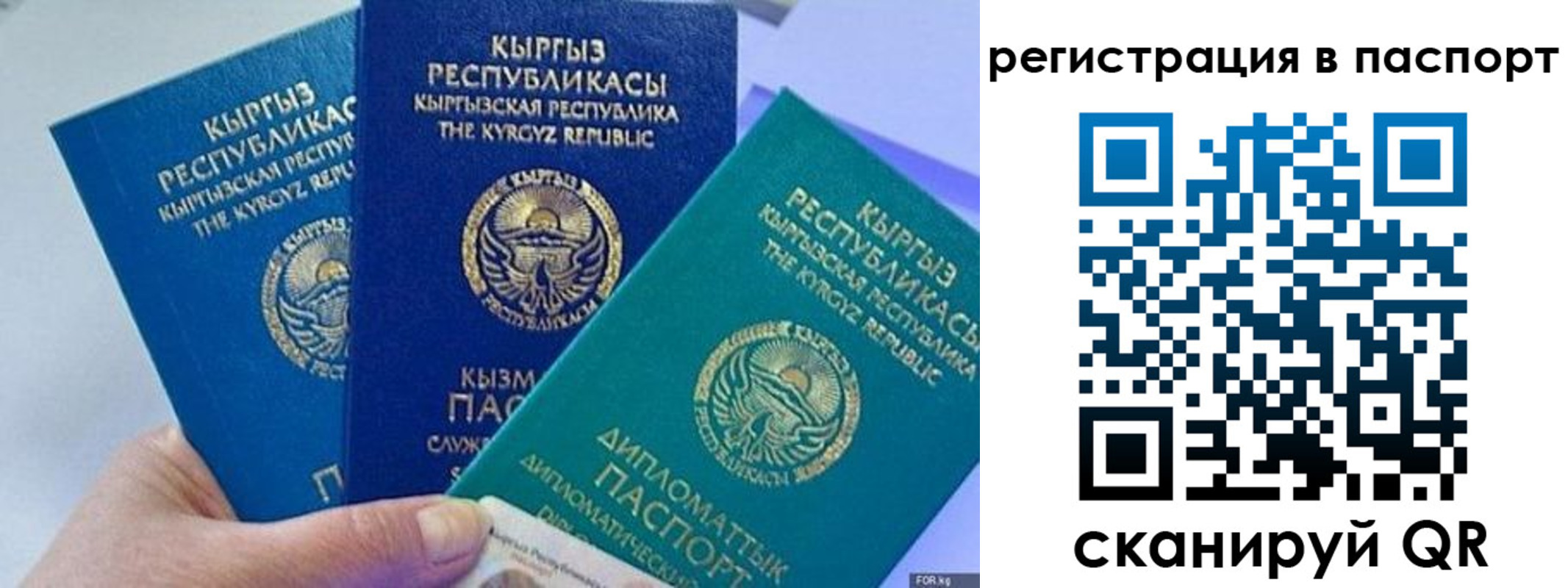 прописка 2025 в Орловской области